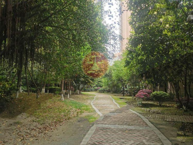 温江区法拍房 中新公园大道 11层/40层 - 成都团购房产 - 成都团购